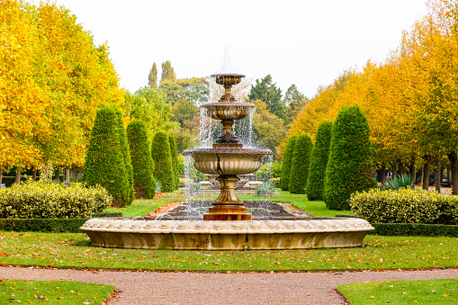 Peaceful scenery with fountain in the Regent's Park of London