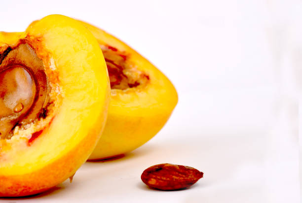 peach halved slices with seed and drop of water stock photo