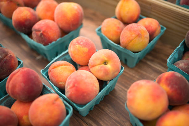 Peaches Peach, Farmer's Market, Fruit, Market, Georgia - US State peach tree stock pictures, royalty-free photos & images