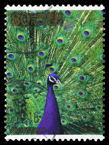 Japan postage stamp: a male peacock display its beautiful tail feather.