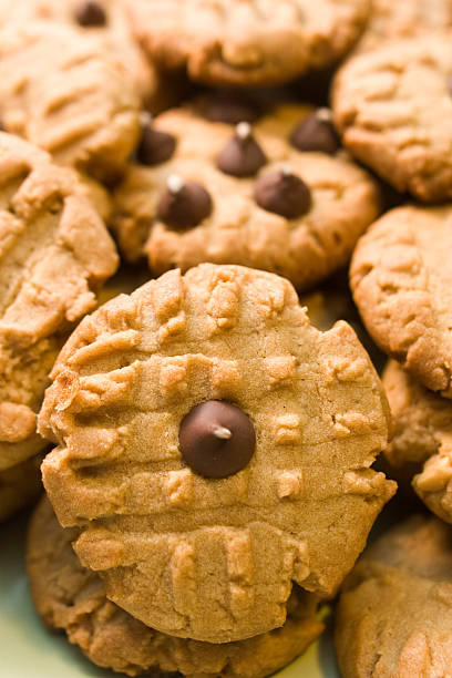 Peanut Butter Chocolate Chip Cookies stock photo