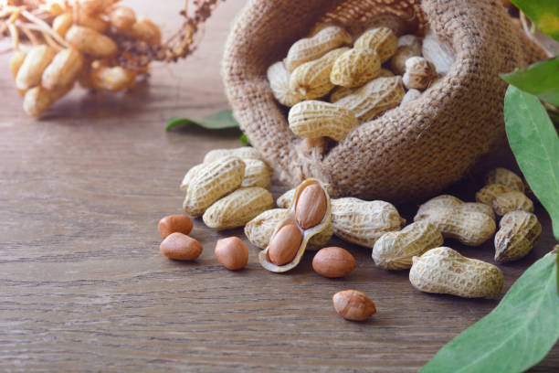peanuts peanuts in shells with fresh groundnut and leaf in the background. crop yield stock pictures, royalty-free photos & images