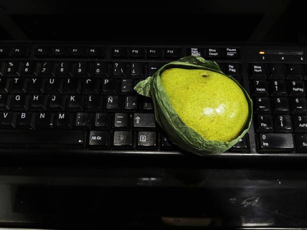 Pear on the keyboard stock photo