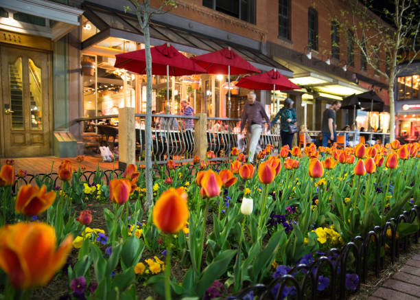 Pearl Street Mall Boulder Colorado Boulder, Colorado, USA - April 27, 2018:  Night scene along popular Pearl Street Mall with people, tulips  and lights in downtown Boulder Colorado boulder colorado stock pictures, royalty-free photos & images