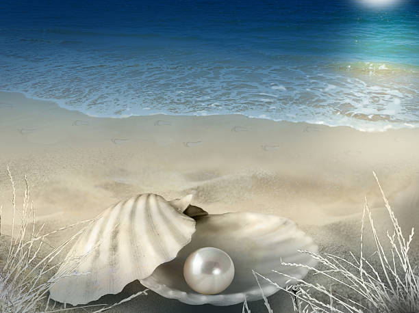 Pearly shell moonlit beach background Abstract illustration photo composite background with shell, pearl, beach, footprints, seawater and moonlight oyster pearl stock pictures, royalty-free photos & images