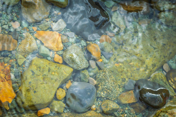 Photo of Pebbles in a slow moving stream