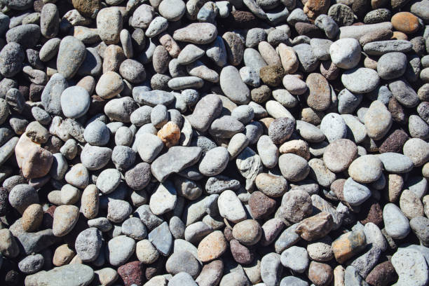 Pebbles texture, sunny day stock photo