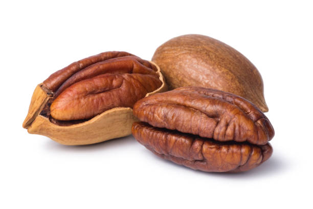 Pecan nut isolated on white background. Walnut in shell and peeled stock photo