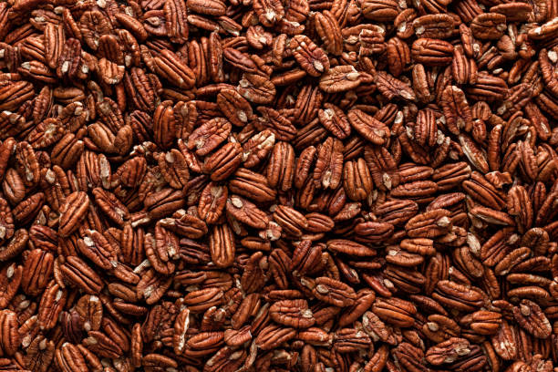 Pecan nuts background, top view. Pecans fruits texture, close-up Pile of pecans, full-frame image, directly above view. Pecan nuts background. A multitude of Mexican pecan seeds. Delicious snacks. Dried food. pecan stock pictures, royalty-free photos & images