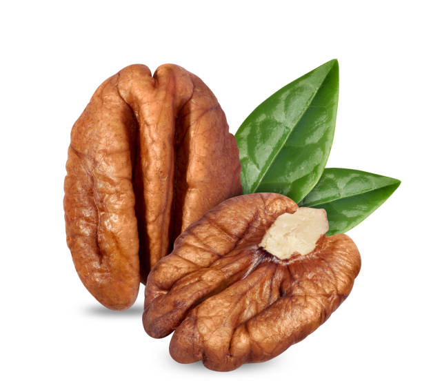 Pecan nuts isolated on white Heroic shot of pecan nuts, ideal for packaging, or large prints pecan stock pictures, royalty-free photos & images