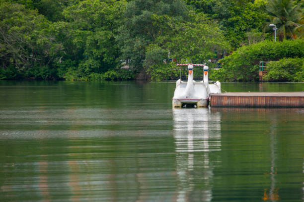 pedal boat at rodrigo de freitas lagoon in rio de janeiro - graça freitas imagens e fotografias de stock