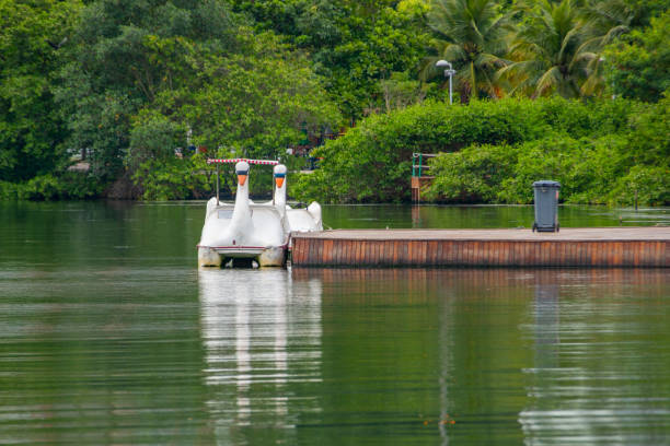 pedal boat at rodrigo de freitas lagoon in rio de janeiro - graça freitas imagens e fotografias de stock