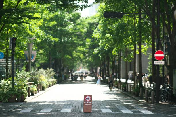 東京・丸の内で昼食時間中歩行者ゾーン - 丸の内 ストックフォトと画像