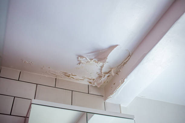 Peeling bathroom ceiling paint stock photo
