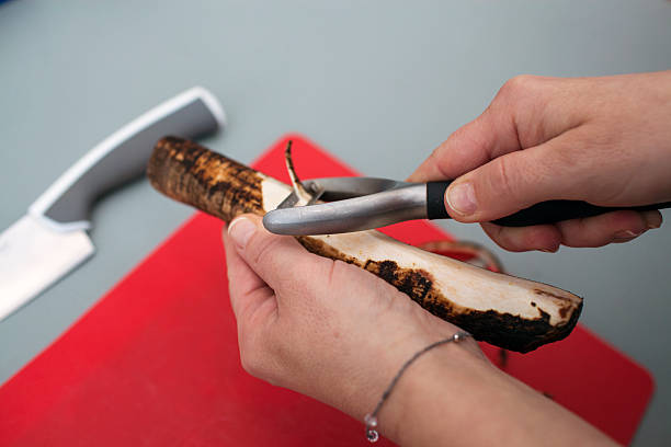 Peeling scorzonera - Wikipedia Peeling scorzonera Salsify stock pictures, royalty-free photos & images