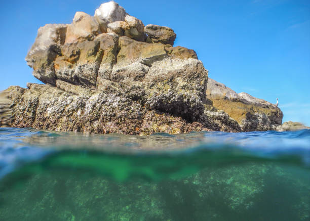pelican rock arriba y abajo el agua cerca de cabo san lucas - has san hawkins fotografías e imágenes de stock
