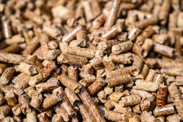 83 Wood Pellet Grills Stock Photos, Pictures & Royalty-Free Images - iStock
