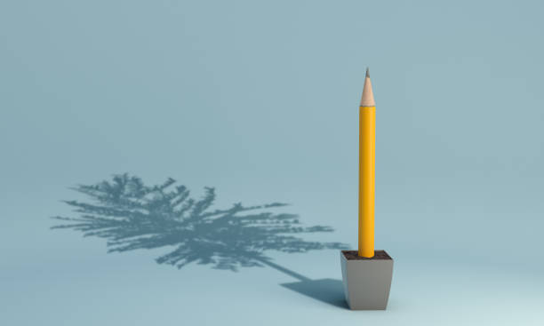 Pensil tumbuh dari pot dengan bayangan pohon. ( Render 3d )