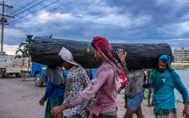사람들은 큰 나무 줄기를 들고, 나는 부리공가 강둑에서 21-10-2020에이 이미지를 캡처, 다카, 방글라데시, 남아시아 - labor day 뉴스 사진 이미지