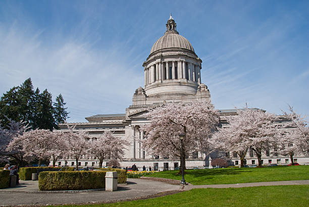 People at the Washington State Capitol Building Olympia, Washington, USA - April 08, 2011: People are enjoying the spring weather at the Washington State Capitol Building. jeff goulden government building stock pictures, royalty-free photos & images