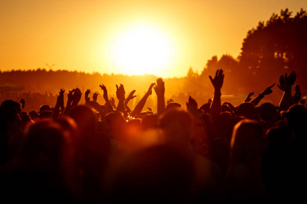 People celebrating on an summer open air. People celebrating on an summer open air. Shillouettes of raised hands concert stock pictures, royalty-free photos & images