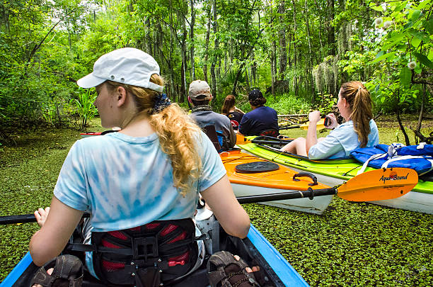les gens faisant du kayak dans un étang marécageux d’eau calme - kayak mangrove photos et images de collection