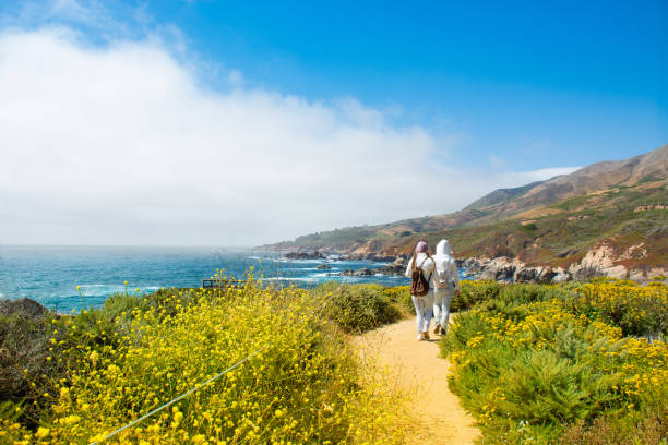 People on hiking trip  in the  mountains. Friends on hiking trip  in the  mountains, walking  along Pacific Ocean coastline.  Garrapata State Park and beach, Big Sur, California, USA beach hike stock pictures, royalty-free photos & images