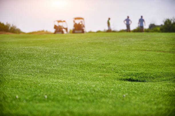 people playing golf on a summer day. Golf hole in the foreground, blurred people in the background stock photo