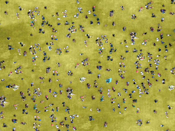 People sunbathing in Central Park Aerial view of people sunbathing in Central Park, New York City. aerial view stock pictures, royalty-free photos & images