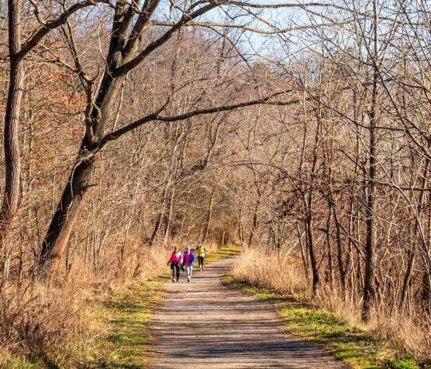People walking through Frick Park on a walking trail in Pittsburgh, Pennsylvania, USA stock photo