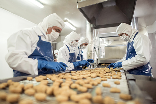 Group of people working at a food factory doing quality control on the production line