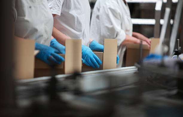 People working on packing line in factory - close up stock photo