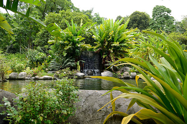 Perdana Botanical Garden Perdana Botanical Gardens  in Kuala Lumpur, Malaysia perdana botanical garden stock pictures, royalty-free photos & images