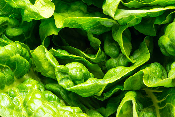 Perfect Salad stock photo