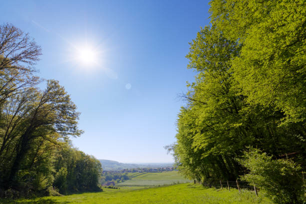 Perfect spring day landscape stock photo