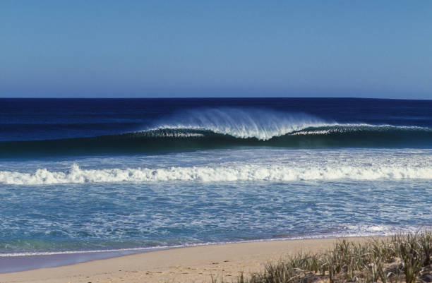 Perfect wave breaking on beutiful remote beach. A surfers dream stock photo