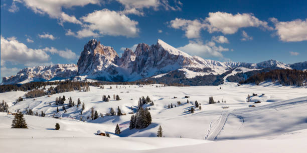 Perfect Winter Day at Alpe di Siusi with view on Sassolungo and Sassopiatto, Dolomites, Italy stock photo