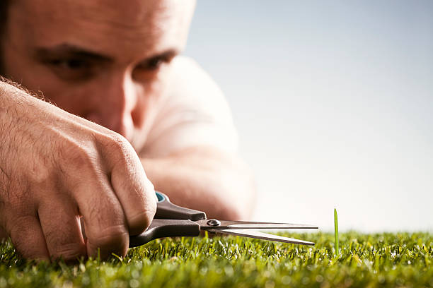 Perfectionist - Garden Gardening Perfection Grass Scissors Humor Concept photography. perfection stock pictures, royalty-free photos & images