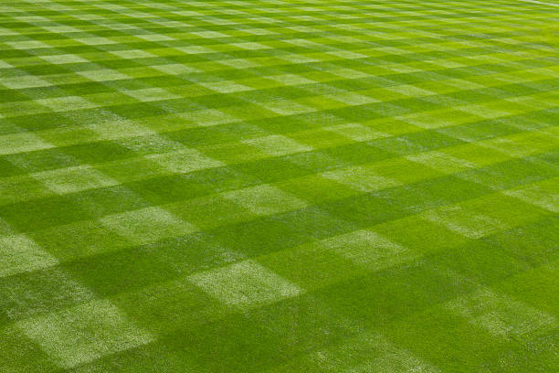 Perfectly mown grass at the ball field. stock photo