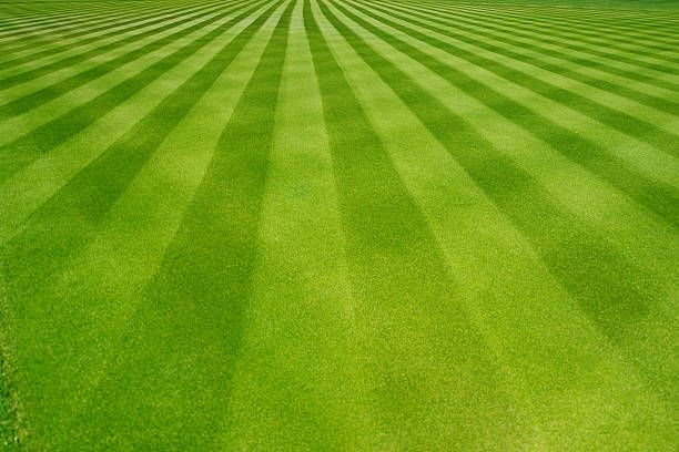 perfectly striped freshly mowed garden lawn - grass texture stockfoto's en -beelden