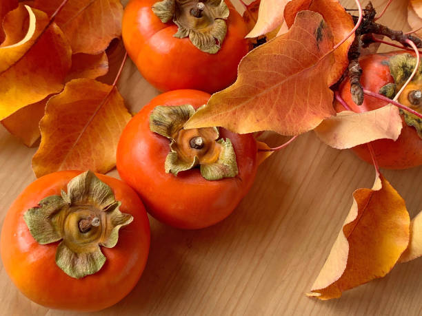 Persimmons and fall leaves stock photo