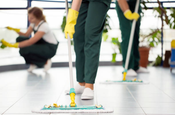 36,368 Professional House Cleaning Stock Photos, Pictures &amp; Royalty-Free Images - iStock