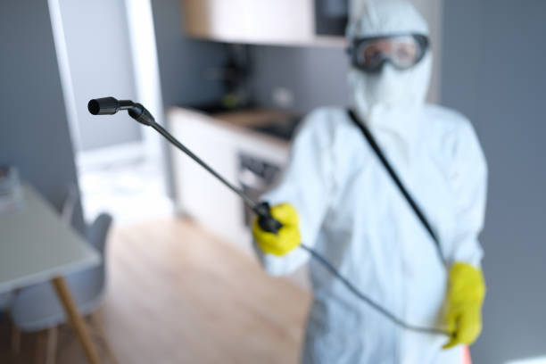 Person in protective suit and mask disinfects kitchen Person in protective suit and mask disinfects kitchen. Destruction of bedbugs and cockroaches in apartment concept prevent bedbug stock pictures, royalty-free photos & images