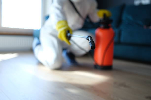 Person in white protective suit in hotel or apartment sprays disinfectant against viruses or rodents Person in white protective suit in hotel or apartment sprays disinfectant against viruses or rodents. Bedbug disinfection service concept bed bugs spray stock pictures, royalty-free photos & images