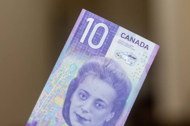 Persons hand giving the Currency of the Canada - One purple ten dollar notes with Viola Desmond spread out on a brown background. Money exchange. Civil rights. stock photo