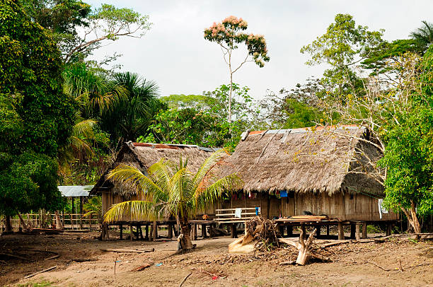 Peruvian Amazonas, Indian settlement stock photo