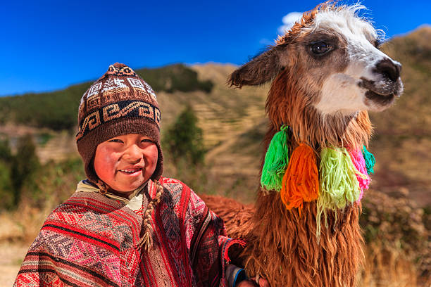 перуанский маленький мальчик в национальный одежда с выпас ламы возле куско - peru стоковые фото и изображения