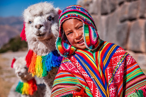 Peruvian woman in traditional clothes holding a baby llama