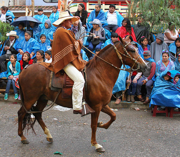 Peruvian Paso Horse Prances in Parade in Peru stock photo