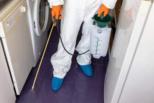 Pest control in the kitchen Pest control worker spraying insecticide with sprayer in the kitchen bed bug treatment stock pictures, royalty-free photos & images